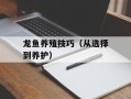龙鱼养殖技巧（从选择到养护）