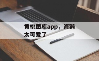 黄桃图库app，海獭太可爱了