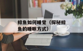 鲸鱼如何睡觉（探秘鲸鱼的睡眠方式）