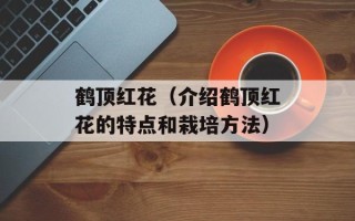 鹤顶红花（介绍鹤顶红花的特点和栽培方法）