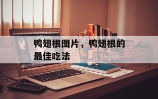 鸭翅根图片，鸭翅根的最佳吃法