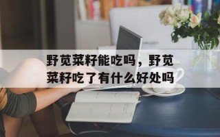 野苋菜籽能吃吗，野苋菜籽吃了有什么好处吗