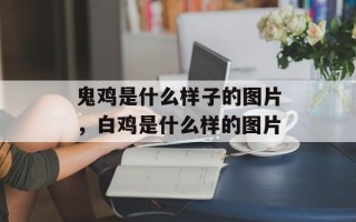 鬼鸡是什么样子的图片，白鸡是什么样的图片