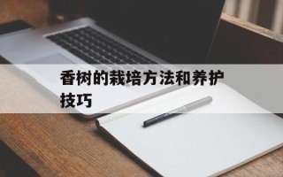 香树的栽培方法和养护技巧