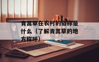 青蒿草在农村的俗称是什么（了解青蒿草的地方称呼）