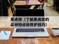 黑虎斑（了解黑虎斑的品种特点和养护技巧）