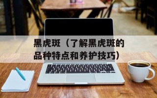 黑虎斑（了解黑虎斑的品种特点和养护技巧）