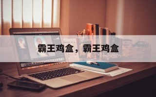 霸王鸡盒，霸王鸡盒