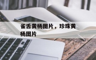 雀舌黄杨图片，珍珠黄杨图片