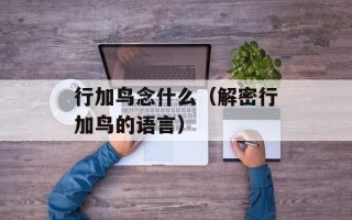 行加鸟念什么（解密行加鸟的语言）