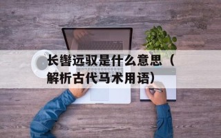 长辔远驭是什么意思（解析古代马术用语）
