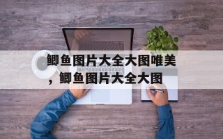 鲫鱼图片大全大图唯美，鲫鱼图片大全大图