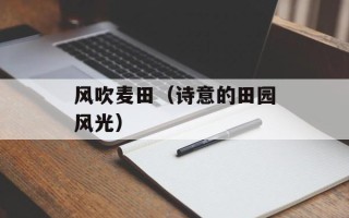 风吹麦田（诗意的田园风光）