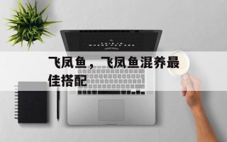 飞凤鱼，飞凤鱼混养最佳搭配