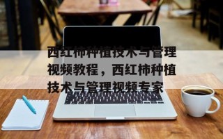 西红柿种植技术与管理视频教程，西红柿种植技术与管理视频专家