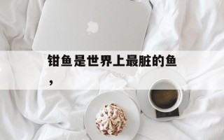 钳鱼是世界上最脏的鱼，