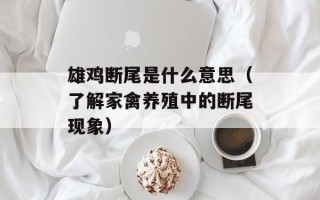 雄鸡断尾是什么意思（了解家禽养殖中的断尾现象）