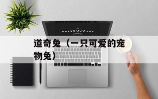 道奇兔（一只可爱的宠物兔）