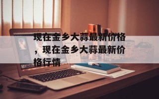 现在金乡大蒜最新价格，现在金乡大蒜最新价格行情