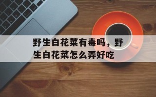 野生白花菜有毒吗，野生白花菜怎么弄好吃