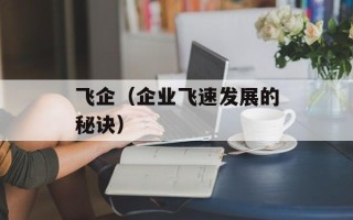 飞企（企业飞速发展的秘诀）