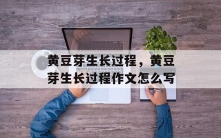 黄豆芽生长过程，黄豆芽生长过程作文怎么写