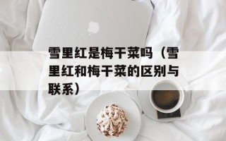 雪里红是梅干菜吗（雪里红和梅干菜的区别与联系）