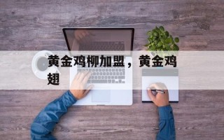 黄金鸡柳加盟，黄金鸡翅