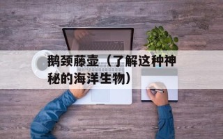 鹅颈藤壶（了解这种神秘的海洋生物）