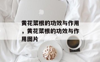 黄花菜根的功效与作用，黄花菜根的功效与作用图片