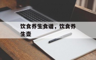 饮食养生食谱，饮食养生壶