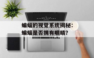 蝙蝠的视觉系统揭秘：蝙蝠是否拥有眼睛？