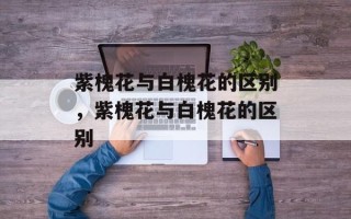 紫槐花与白槐花的区别，紫槐花与白槐花的区别