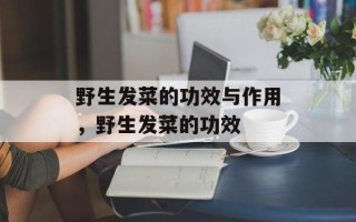 野生发菜的功效与作用，野生发菜的功效