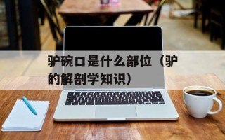 驴碗口是什么部位（驴的解剖学知识）
