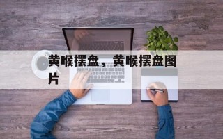 黄喉摆盘，黄喉摆盘图片