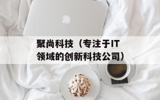 聚尚科技（专注于IT领域的创新科技公司）