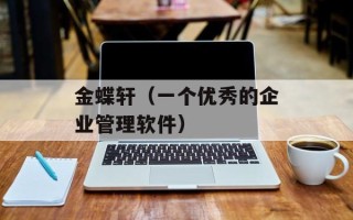 金蝶轩（一个优秀的企业管理软件）
