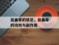 鼠曲草的禁忌，鼠曲草的功效与副作用