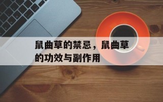 鼠曲草的禁忌，鼠曲草的功效与副作用