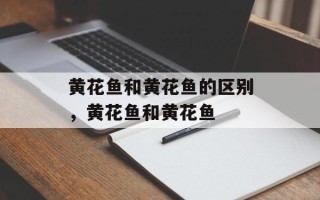 黄花鱼和黄花鱼的区别，黄花鱼和黄花鱼