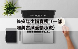 长安年少惜春残（一部唯美古风爱情小说）