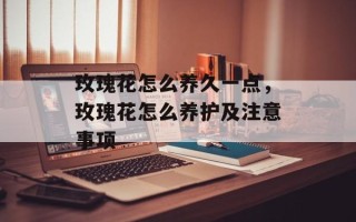玫瑰花怎么养久一点，玫瑰花怎么养护及注意事项
