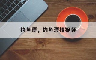 钓鱼漂，钓鱼漂相视频