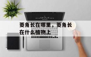 菱角长在哪里，菱角长在什么植物上