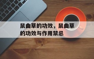 鼠曲草的功效，鼠曲草的功效与作用禁忌