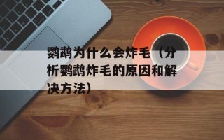 鹦鹉为什么会炸毛（分析鹦鹉炸毛的原因和解决方法）