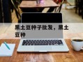 黑土豆种子批发，黑土豆种