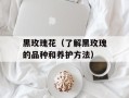 黑玫瑰花（了解黑玫瑰的品种和养护方法）