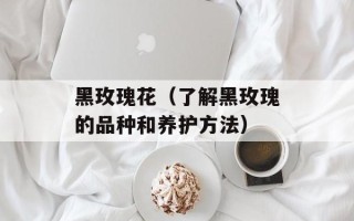 黑玫瑰花（了解黑玫瑰的品种和养护方法）
